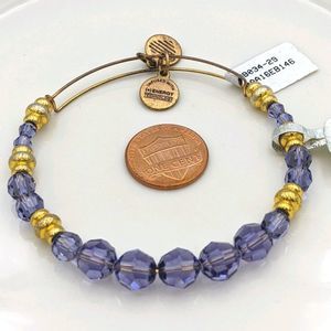 Alex Ani Shiny Gold Royal Swarvoski Bracelet NWT